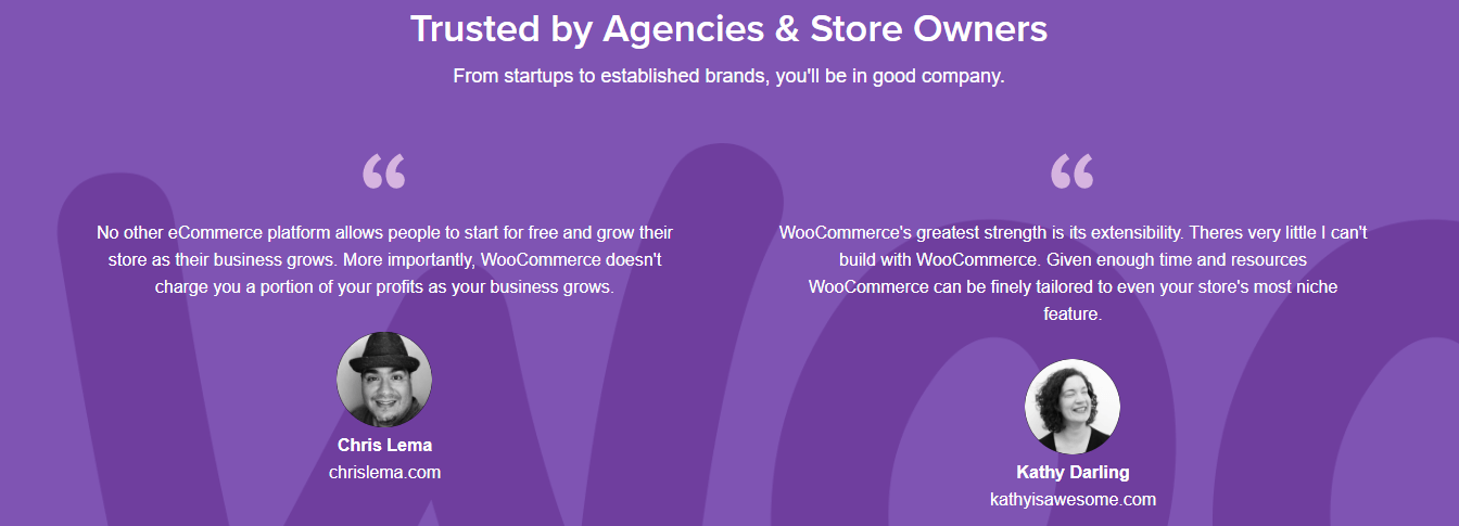 WooCommerce Template Highlighting Customer Reviews